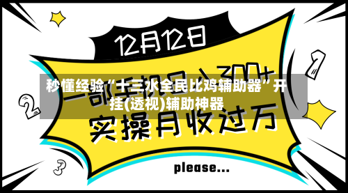 秒懂经验“十三水全民比鸡辅助器”开挂(透视)辅助神器-第2张图片