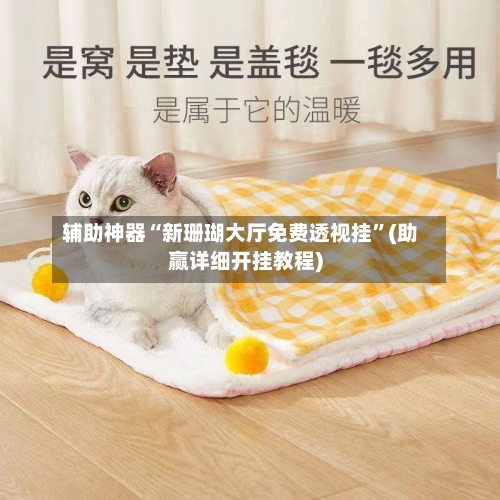 辅助神器“新珊瑚大厅免费透视挂”(助赢详细开挂教程)