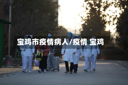 宝鸡市疫情病人/疫情 宝鸡