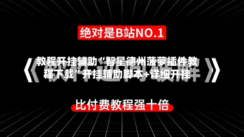 教程开挂辅助“智星德州菠萝插件教程下载”开挂辅助脚本+详细开挂-第2张图片