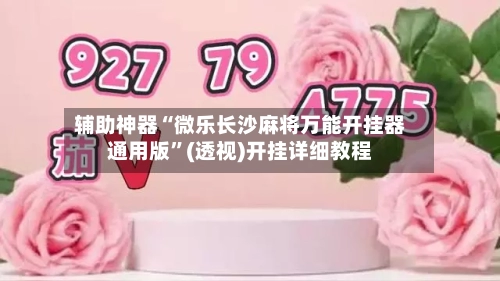 辅助神器“微乐长沙麻将万能开挂器通用版	”(透视)开挂详细教程-第3张图片