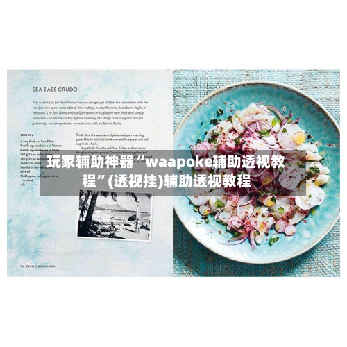 玩家辅助神器“waapoke辅助透视教程”(透视挂)辅助透视教程