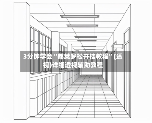 3分钟学会“都莱罗松开挂教程	”(透视)详细透视辅助教程-第3张图片