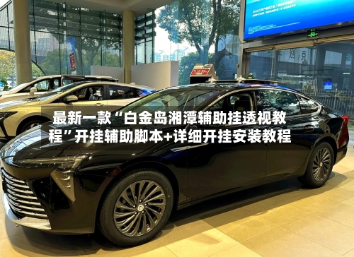 最新一款“白金岛湘潭辅助挂透视教程	”开挂辅助脚本+详细开挂安装教程-第2张图片