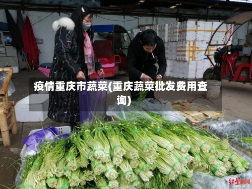 疫情重庆市蔬菜(重庆蔬菜批发费用查询)-第2张图片