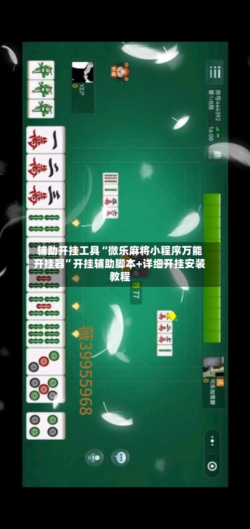 辅助开挂工具“微乐麻将小程序万能开挂器”开挂辅助脚本+详细开挂安装教程-第3张图片