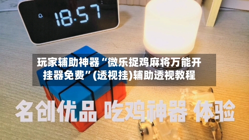 玩家辅助神器“微乐捉鸡麻将万能开挂器免费	”(透视挂)辅助透视教程-第3张图片