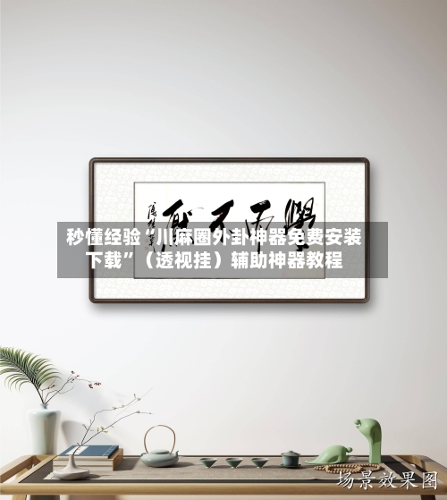 秒懂经验“川麻圈外卦神器免费安装下载”（透视挂）辅助神器教程-第2张图片