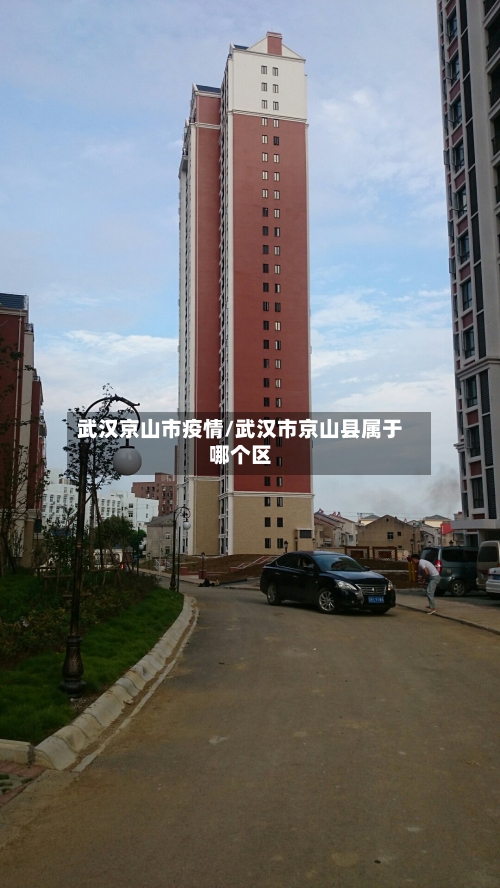 武汉京山市疫情/武汉市京山县属于哪个区