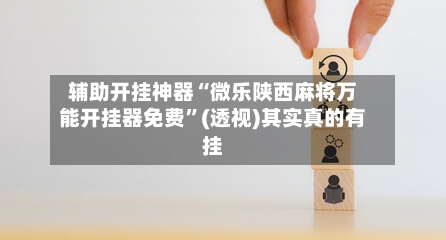 辅助开挂神器“微乐陕西麻将万能开挂器免费”(透视)其实真的有挂-第3张图片