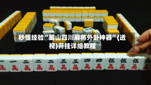 秒懂经验“蜀山四川麻将外卦神器”(透视)开挂详细教程-第3张图片