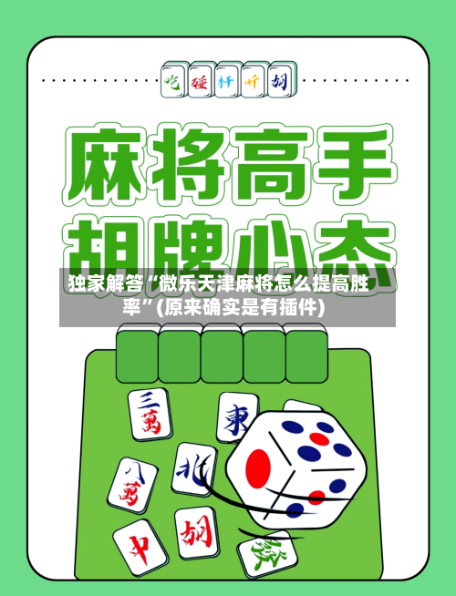 独家解答“微乐天津麻将怎么提高胜率	”(原来确实是有插件)-第2张图片