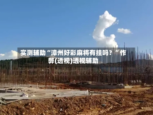 实测辅助“漳州好彩麻将有挂吗？	”作弊(透视)透视辅助-第2张图片