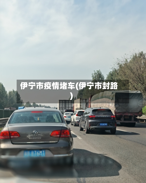 伊宁市疫情堵车(伊宁市封路)