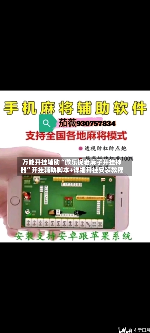 万能开挂辅助“微乐捉老麻子开挂神器	”开挂辅助脚本+详细开挂安装教程-第2张图片