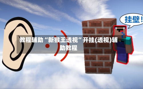 教程辅助“新猴王透视”开挂(透视)辅助教程