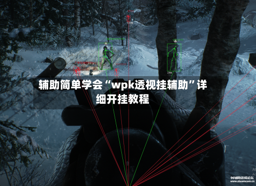 辅助简单学会“wpk透视挂辅助”详细开挂教程