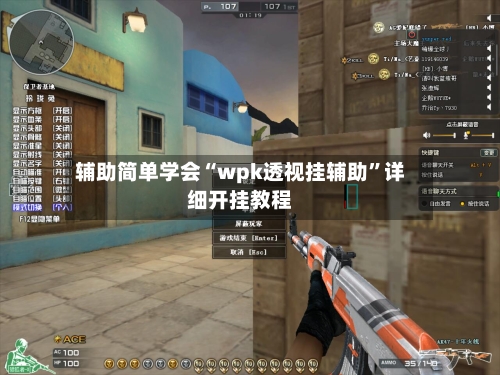 辅助简单学会“wpk透视挂辅助”详细开挂教程-第2张图片