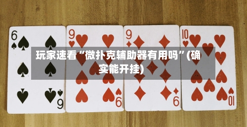 玩家速看“微扑克辅助器有用吗”(确实能开挂)-第2张图片