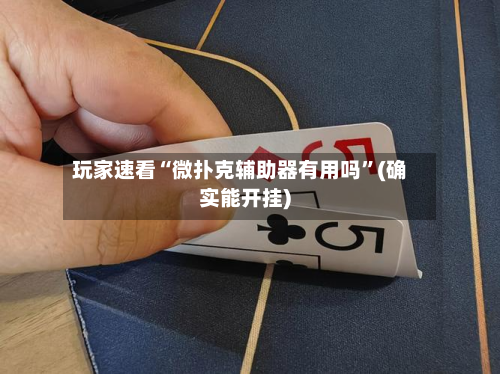 玩家速看“微扑克辅助器有用吗”(确实能开挂)-第3张图片