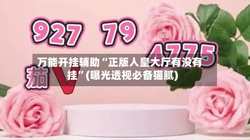 万能开挂辅助“正版人皇大厅有没有挂”(曝光透视必备猫腻)-第3张图片