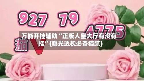 万能开挂辅助“正版人皇大厅有没有挂”(曝光透视必备猫腻)-第2张图片