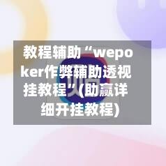 教程辅助“wepoker作弊辅助透视挂教程”(助赢详细开挂教程)-第2张图片