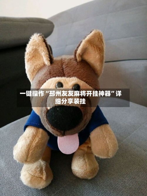 一键操作“邳州友友麻将开挂神器”详细分享装挂