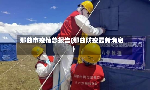 那曲市疫情总报告(那曲防疫最新消息)-第2张图片