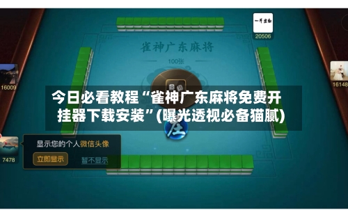 今日必看教程“雀神广东麻将免费开挂器下载安装”(曝光透视必备猫腻)-第3张图片