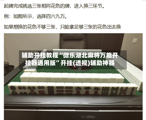 辅助开挂教程“微乐湖北麻将万能开挂器通用版”开挂(透视)辅助神器