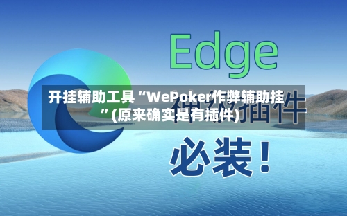 开挂辅助工具“WePoker作弊辅助挂	”(原来确实是有插件) -第2张图片