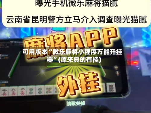 可用版本“微乐麻将小程序万能开挂器”(原来真的有挂)-第2张图片