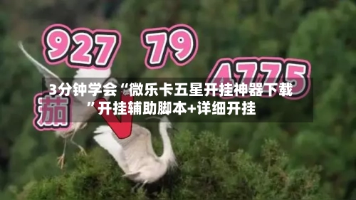 3分钟学会“微乐卡五星开挂神器下载	”开挂辅助脚本+详细开挂-第3张图片