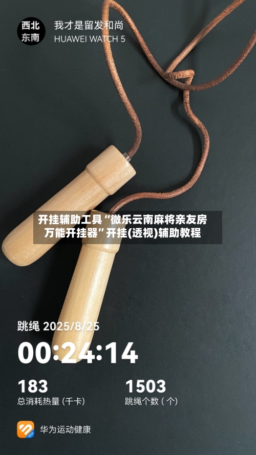 开挂辅助工具“微乐云南麻将亲友房万能开挂器”开挂(透视)辅助教程