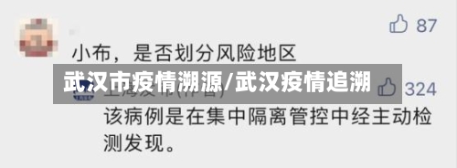 武汉市疫情溯源/武汉疫情追溯-第3张图片