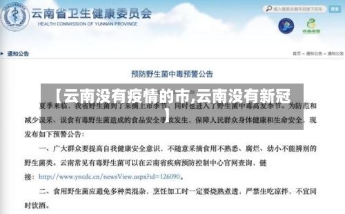 【云南没有疫情的市,云南没有新冠】-第2张图片