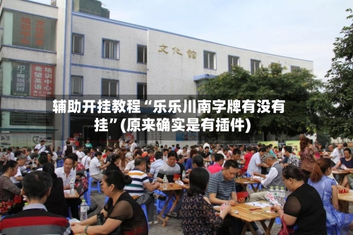 辅助开挂教程“乐乐川南字牌有没有挂”(原来确实是有插件) 