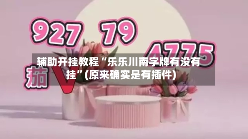 辅助开挂教程“乐乐川南字牌有没有挂	”(原来确实是有插件) -第2张图片