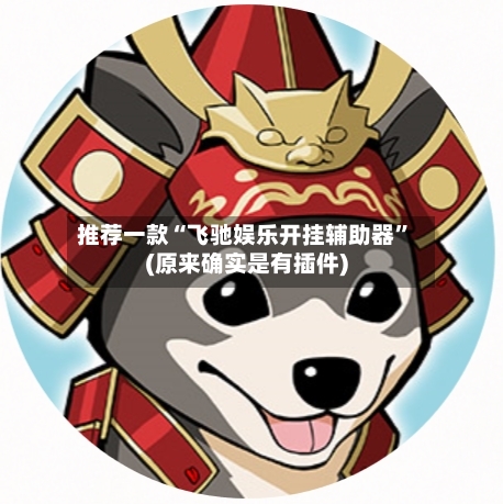 推荐一款“飞驰娱乐开挂辅助器”(原来确实是有插件)