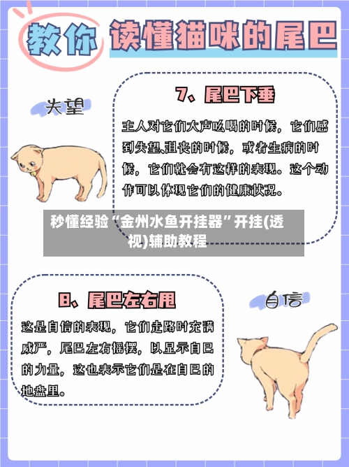 秒懂经验“金州水鱼开挂器”开挂(透视)辅助教程