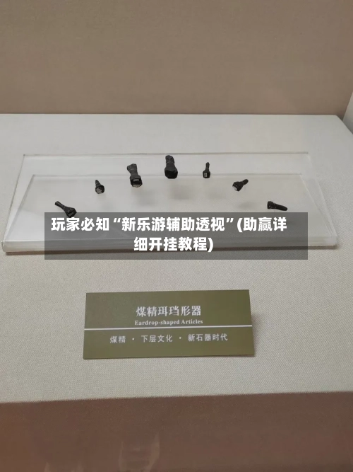 玩家必知“新乐游辅助透视	”(助赢详细开挂教程)-第2张图片