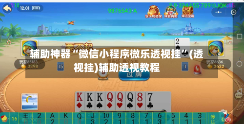 辅助神器“微信小程序微乐透视挂”(透视挂)辅助透视教程-第3张图片