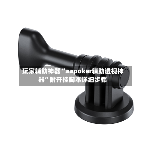 玩家辅助神器“aapoker辅助透视神器”附开挂脚本详细步骤
