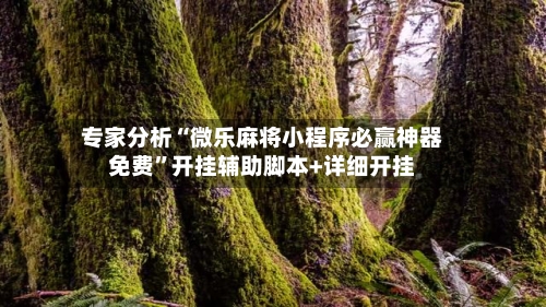 专家分析“微乐麻将小程序必赢神器免费”开挂辅助脚本+详细开挂