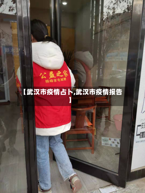 【武汉市疫情占卜,武汉市疫情报告】
