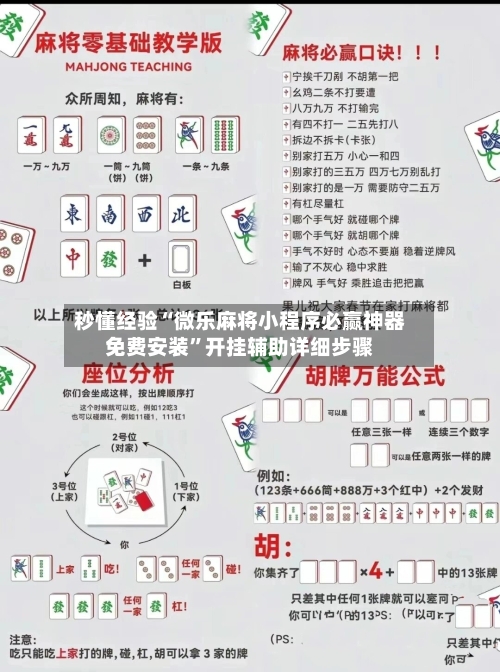 秒懂经验“微乐麻将小程序必赢神器免费安装”开挂辅助详细步骤-第2张图片