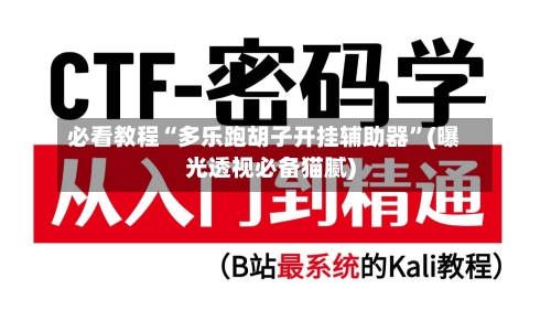必看教程“多乐跑胡子开挂辅助器”(曝光透视必备猫腻)