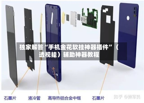 独家解答“手机金花软挂神器插件	”（透视挂）辅助神器教程-第3张图片