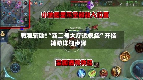 教程辅助!“新二号大厅透视挂	”开挂辅助详细步骤-第2张图片